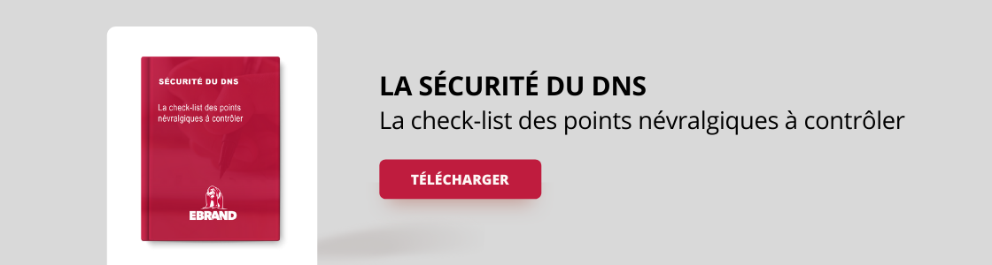 Bannière - Télécharger la checklist des points névralgiques à contrôler - Sécurité du DNS